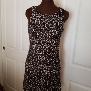 Felicity & Coco Leopard Sexy Dress Small Nordstrom
